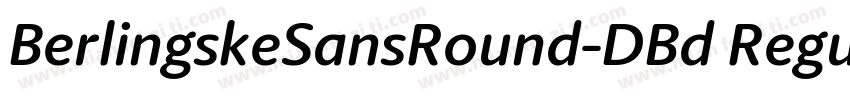 BerlingskeSansRound-DBd Regular字体转换